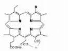 Odium Copper Chlorophyllin	